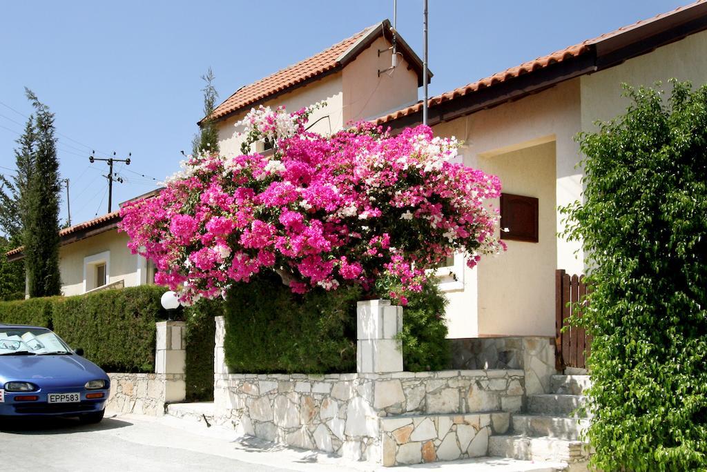Hilltop Chalet Pissouri Exteriör bild